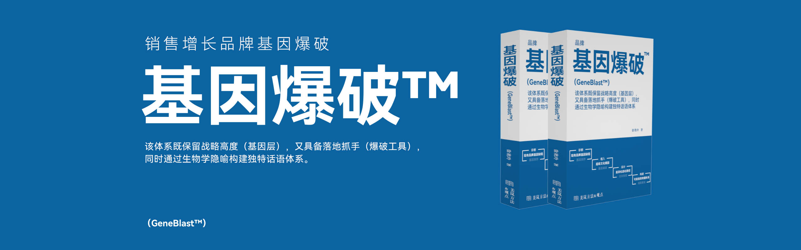 品牌设计